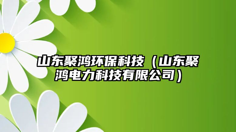 山東聚鴻環(huán)?？萍迹ㄉ綎|聚鴻電力科技有限公司）