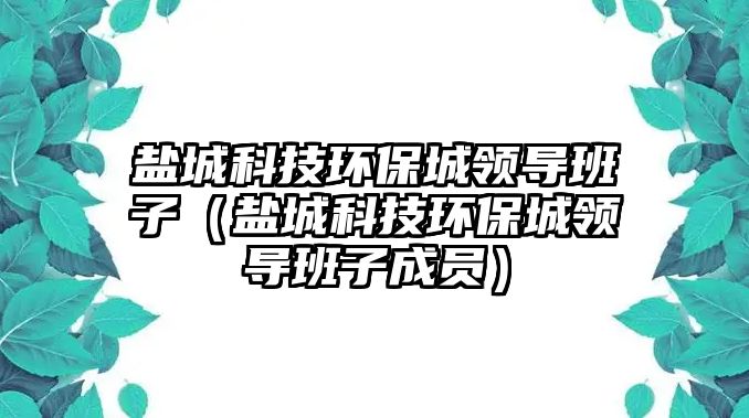 鹽城科技環(huán)保城領(lǐng)導(dǎo)班子（鹽城科技環(huán)保城領(lǐng)導(dǎo)班子成員）