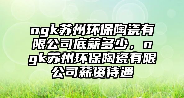 ngk蘇州環(huán)保陶瓷有限公司底薪多少，ngk蘇州環(huán)保陶瓷有限公司薪資待遇