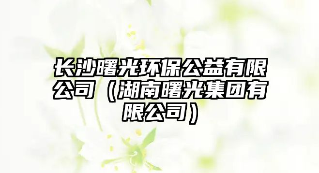 長沙曙光環(huán)保公益有限公司（湖南曙光集團有限公司）