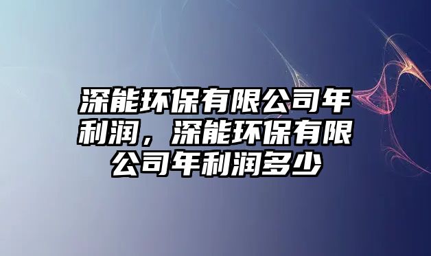 深能環(huán)保有限公司年利潤(rùn)，深能環(huán)保有限公司年利潤(rùn)多少