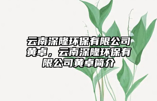 云南深隆環(huán)保有限公司黃卓，云南深隆環(huán)保有限公司黃卓簡介