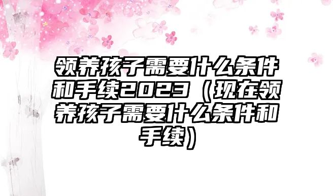 領養(yǎng)孩子需要什么條件和手續(xù)2023（現(xiàn)在領養(yǎng)孩子需要什么條件和手續(xù)）