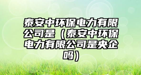 泰安中環(huán)保電力有限公司是（泰安中環(huán)保電力有限公司是央企嗎）