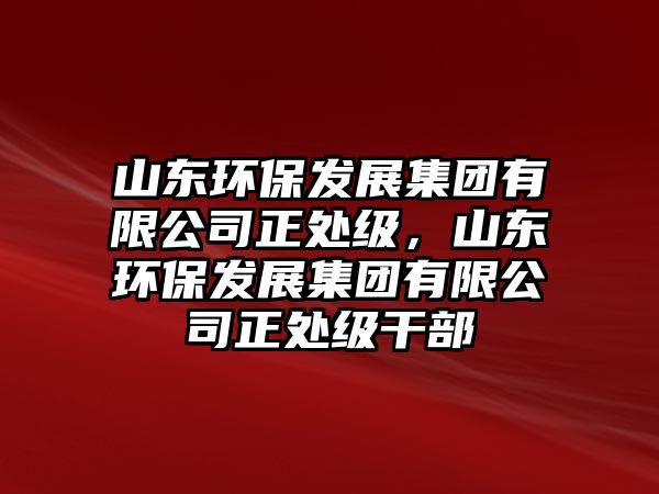 山東環(huán)保發(fā)展集團有限公司正處級，山東環(huán)保發(fā)展集團有限公司正處級干部