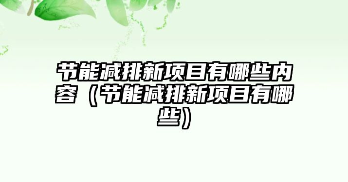 節(jié)能減排新項目有哪些內容（節(jié)能減排新項目有哪些）