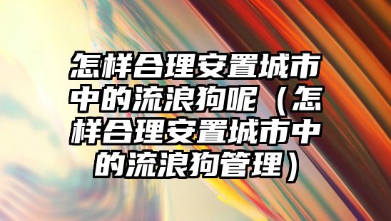 怎樣合理安置城市中的流浪狗呢（怎樣合理安置城市中的流浪狗管理）