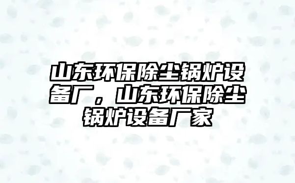 山東環(huán)保除塵鍋爐設(shè)備廠，山東環(huán)保除塵鍋爐設(shè)備廠家