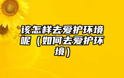 該怎樣去愛護環(huán)境呢（如何去愛護環(huán)境）