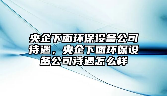 央企下面環(huán)保設(shè)備公司待遇，央企下面環(huán)保設(shè)備公司待遇怎么樣