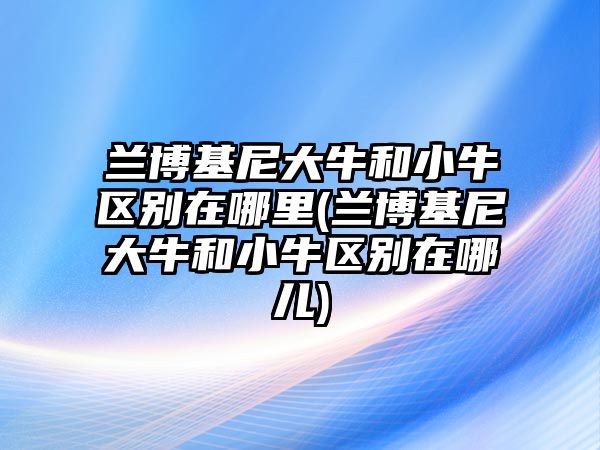 蘭博基尼大牛和小牛區(qū)別在哪里(蘭博基尼大牛和小牛區(qū)別在哪兒)