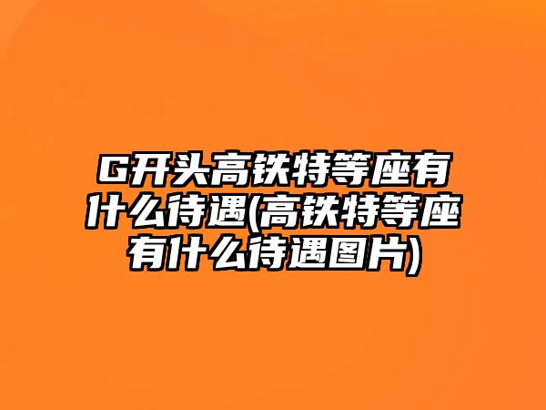 G開頭高鐵特等座有什么待遇(高鐵特等座有什么待遇圖片)