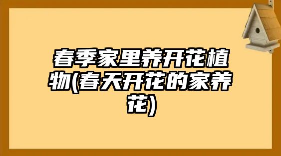 春季家里養(yǎng)開花植物(春天開花的家養(yǎng)花)