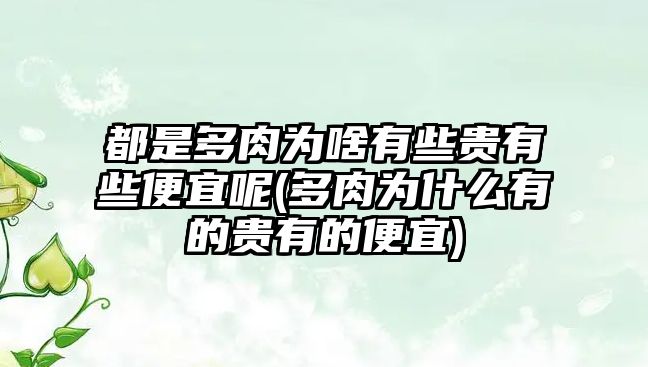 都是多肉為啥有些貴有些便宜呢(多肉為什么有的貴有的便宜)