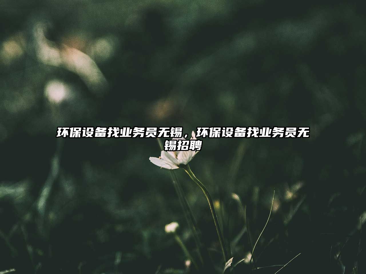 環(huán)保設(shè)備找業(yè)務(wù)員無(wú)錫，環(huán)保設(shè)備找業(yè)務(wù)員無(wú)錫招聘