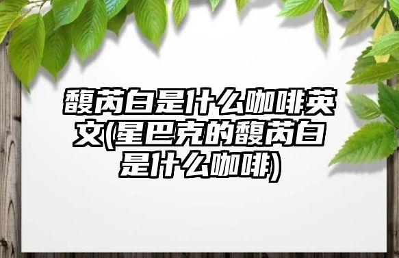 馥芮白是什么咖啡英文(星巴克的馥芮白是什么咖啡)