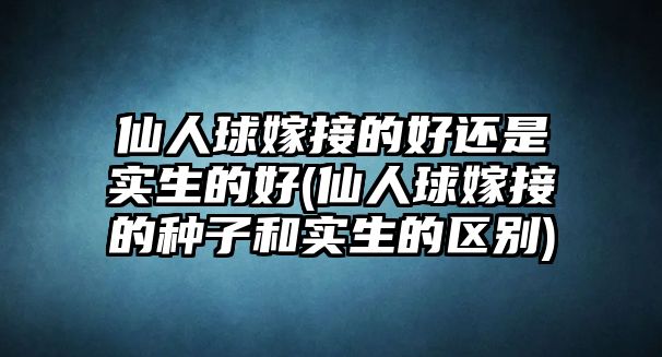 仙人球嫁接的好還是實生的好(仙人球嫁接的種子和實生的區(qū)別)