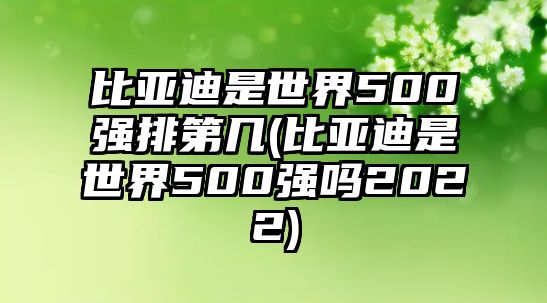 比亞迪是世界500強(qiáng)排第幾(比亞迪是世界500強(qiáng)嗎2022)