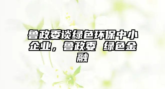 魯政委談綠色環(huán)保中小企業(yè)，魯政委 綠色金融