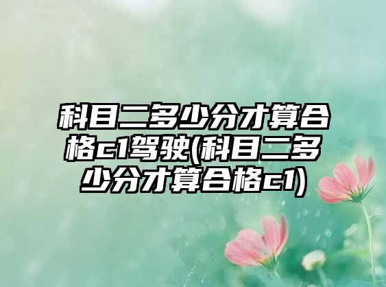 科目二多少分才算合格c1駕駛(科目二多少分才算合格c1)