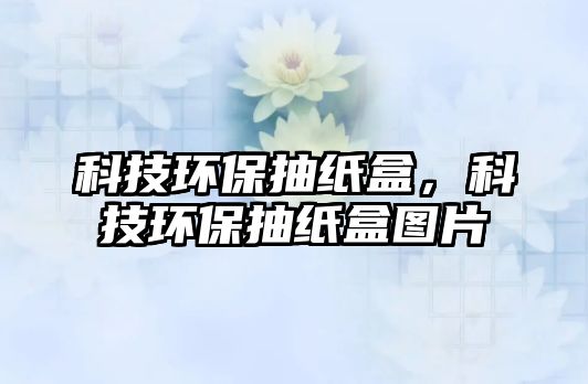 科技環(huán)保抽紙盒，科技環(huán)保抽紙盒圖片