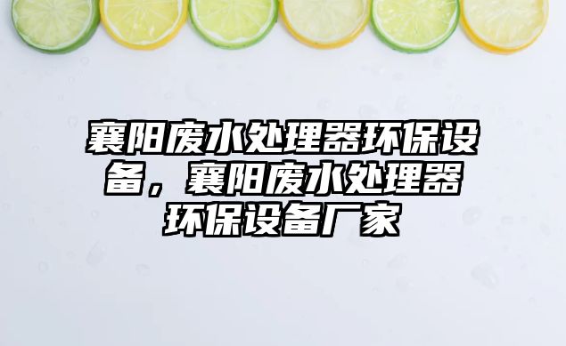 襄陽廢水處理器環(huán)保設(shè)備，襄陽廢水處理器環(huán)保設(shè)備廠家