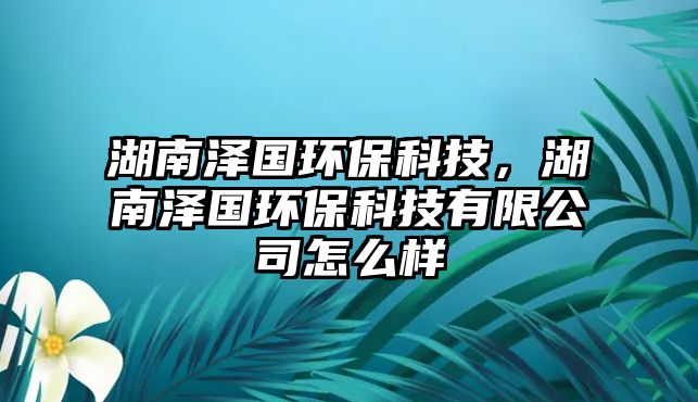 湖南澤國環(huán)?？萍?，湖南澤國環(huán)?？萍加邢薰驹趺礃? class=