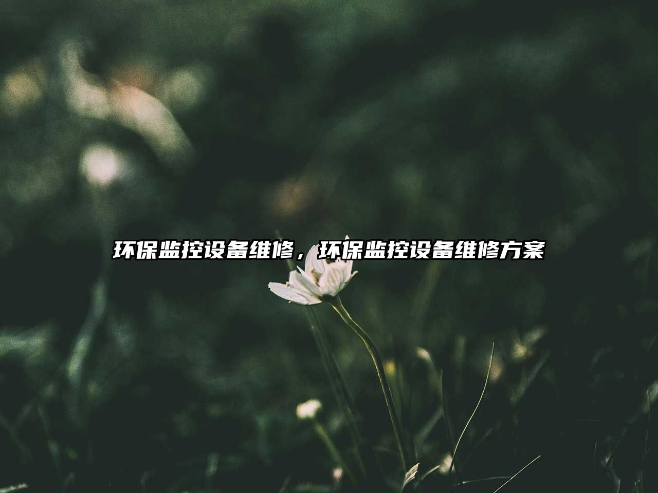 環(huán)保監(jiān)控設(shè)備維修，環(huán)保監(jiān)控設(shè)備維修方案