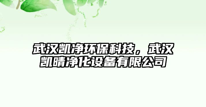 武漢凱凈環(huán)?？萍?，武漢凱晴凈化設(shè)備有限公司