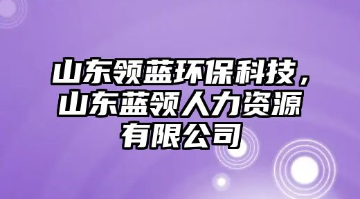 山東領(lǐng)藍(lán)環(huán)保科技，山東藍(lán)領(lǐng)人力資源有限公司