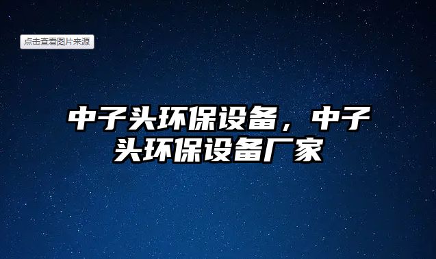 中子頭環(huán)保設備，中子頭環(huán)保設備廠家