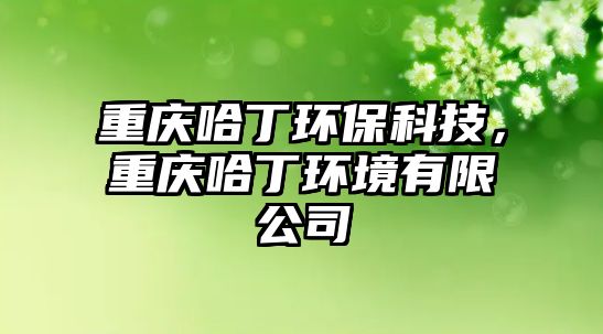 重慶哈丁環(huán)?？萍迹貞c哈丁環(huán)境有限公司