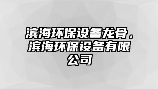 濱海環(huán)保設(shè)備龍骨，濱海環(huán)保設(shè)備有限公司